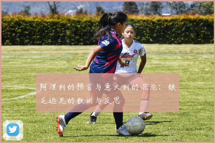 阿涅利的预言与意大利的沉沦：缺乏远见的教训与反思